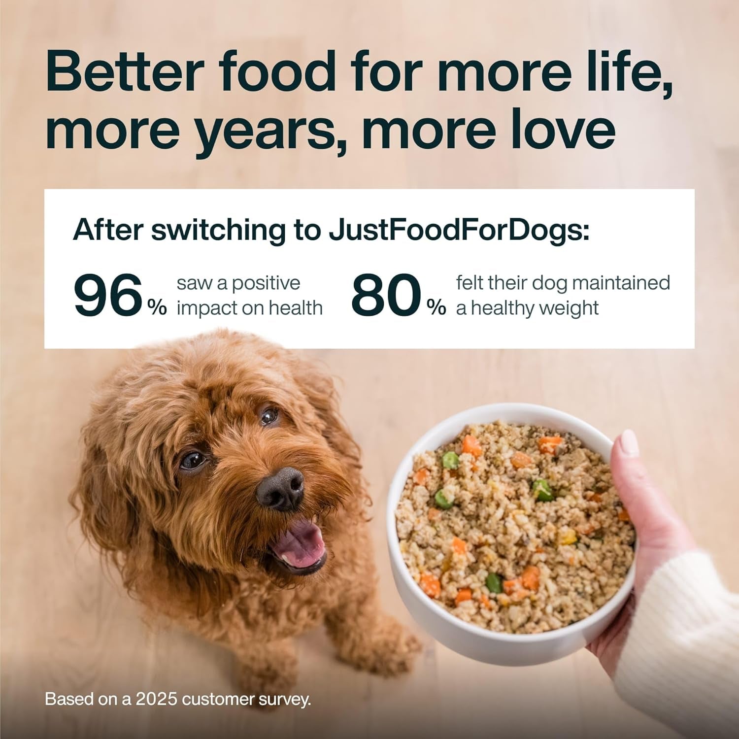 pet food and supplement collection