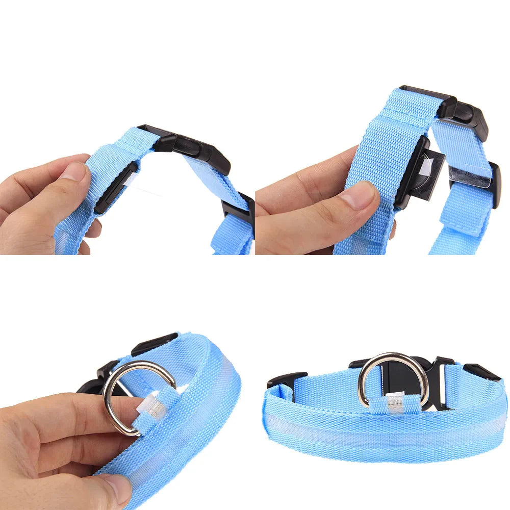 Illuminate Your Dog's Safety with Our LED Adjustable Light-Up Collar - Waterproof and Stylish