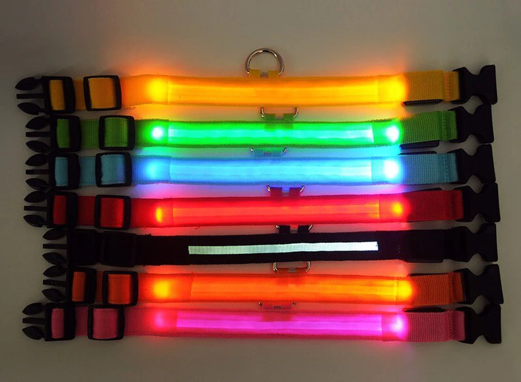 Illuminate Your Dog's Safety with Our LED Adjustable Light-Up Collar - Waterproof and Stylish