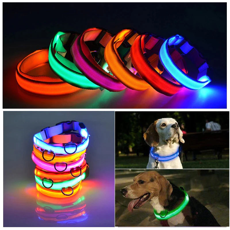 Illuminate Your Dog's Safety with Our LED Adjustable Light-Up Collar - Waterproof and Stylish