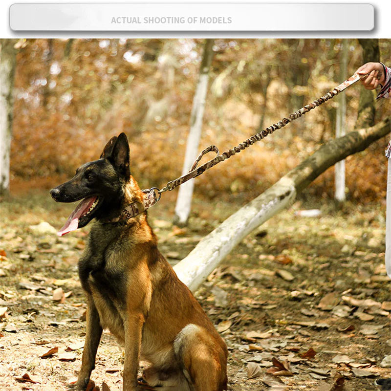2" Wide Tactical Heavy Duty Nylon Large Dog Collar - K9 Military Style with Secure Metal Buckle for Ultimate Strength and Comfort