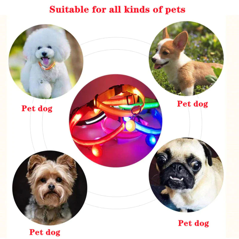 Illuminate Your Dog's Safety with Our LED Adjustable Light-Up Collar - Waterproof and Stylish
