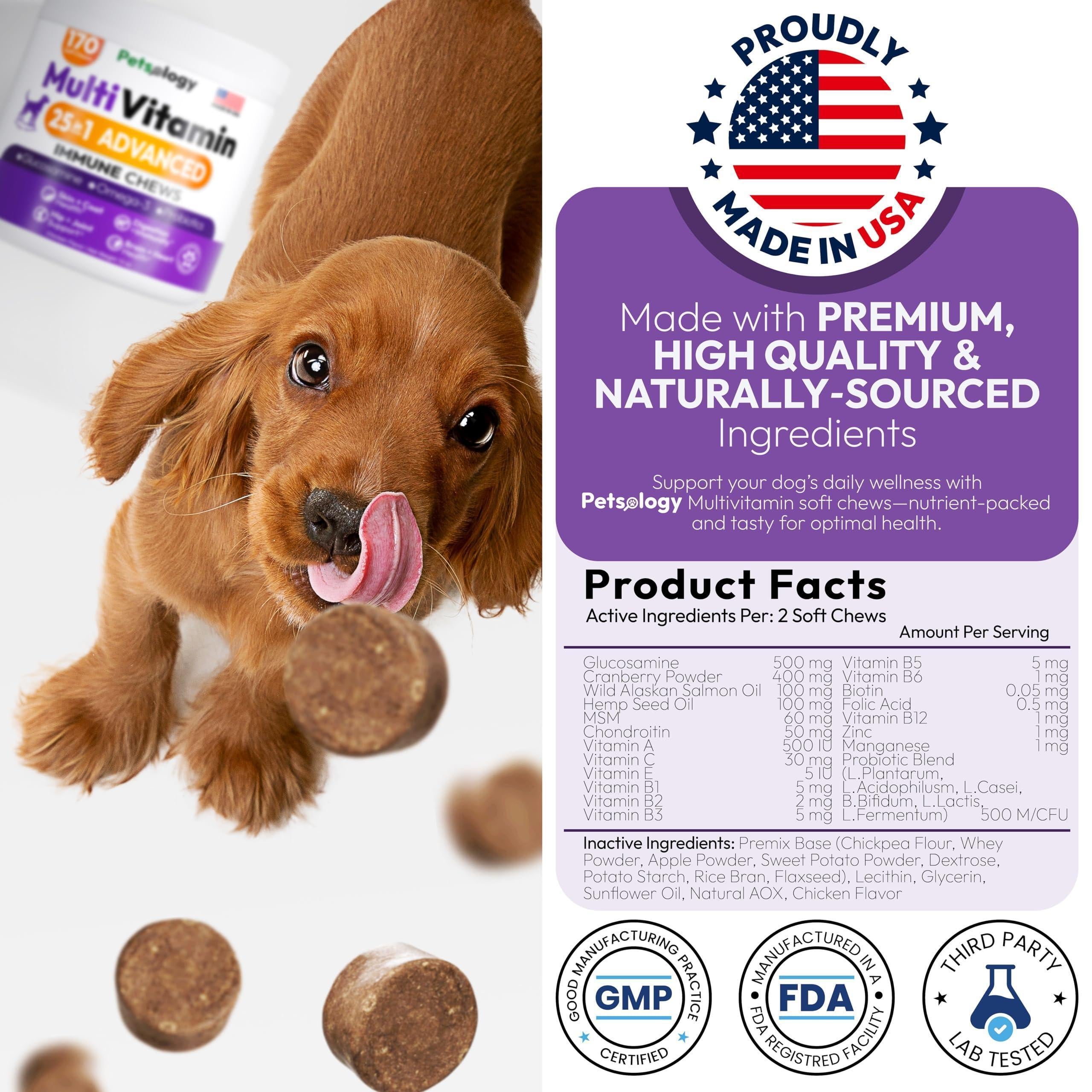 Premium Dog Multivitamin Chews with Glucosamine - 170 Delicious Hip Support Supplements