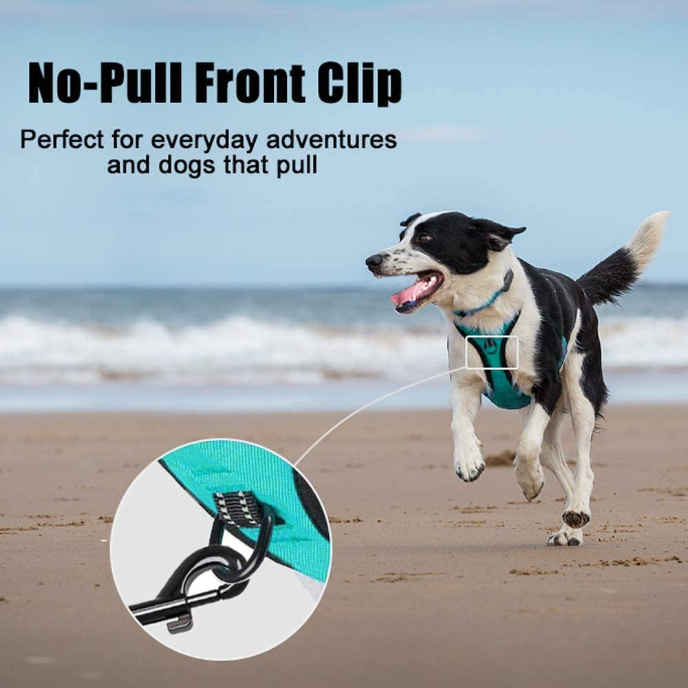 No Pull Reflective Dog Harness - Comfortable Adjustable Vest with Dual Leash Attachments & Control Handle for Small to Large Dogs (Mint Blue, Medium)