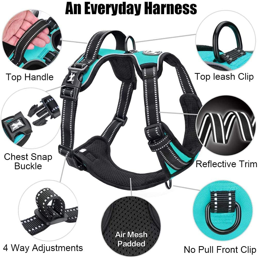No Pull Reflective Dog Harness - Comfortable Adjustable Vest with Dual Leash Attachments & Control Handle for Small to Large Dogs (Mint Blue, Medium)