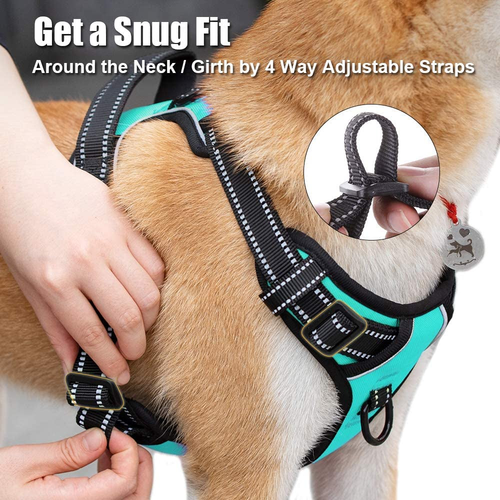 No Pull Reflective Dog Harness - Comfortable Adjustable Vest with Dual Leash Attachments & Control Handle for Small to Large Dogs (Mint Blue, Medium)