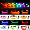 Illuminate Your Dog's Safety with Our LED Adjustable Light-Up Collar - Waterproof and Stylish