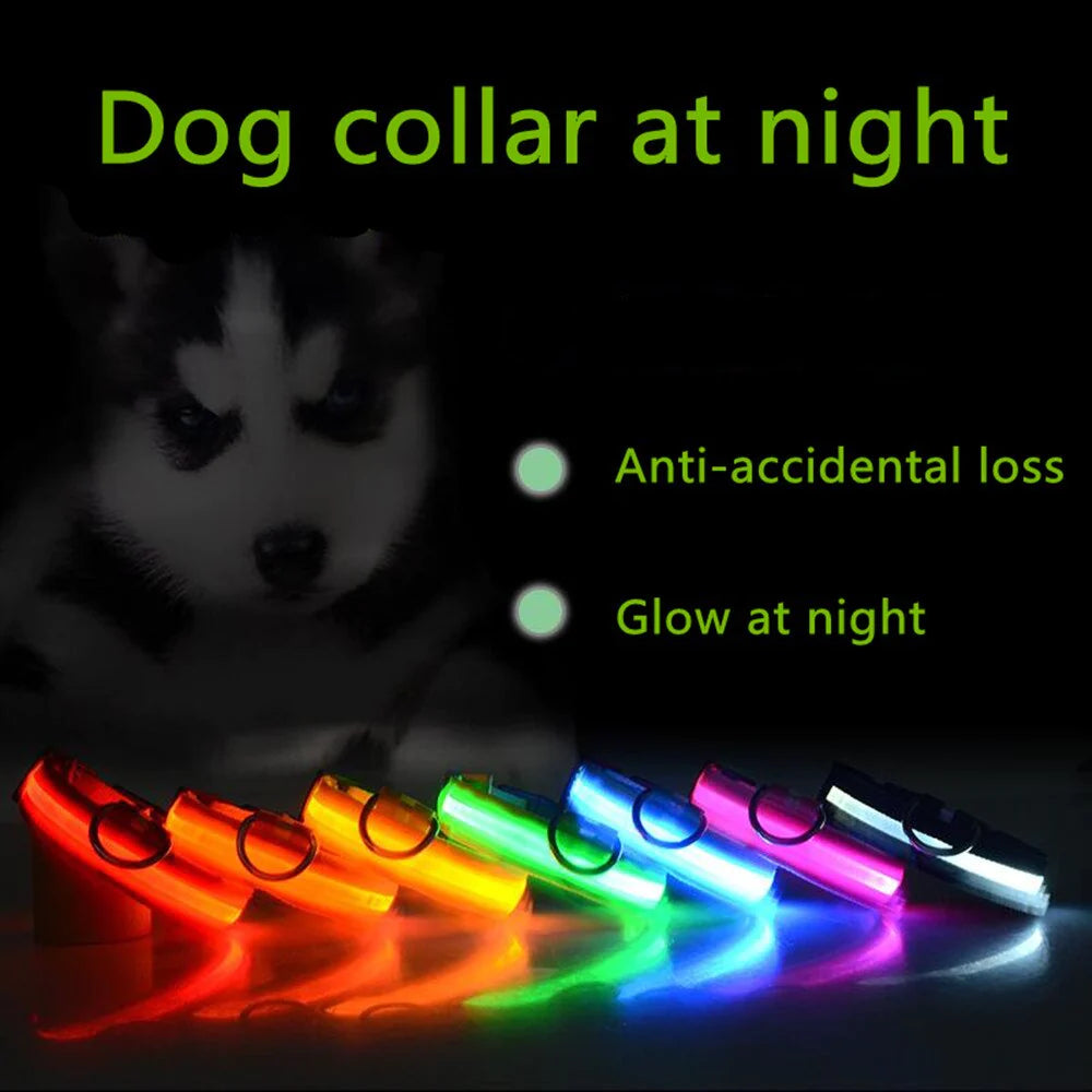 Illuminate Your Dog's Safety with Our LED Adjustable Light-Up Collar - Waterproof and Stylish