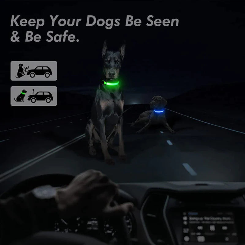 Illuminate Your Dog's Safety with Our LED Adjustable Light-Up Collar - Waterproof and Stylish