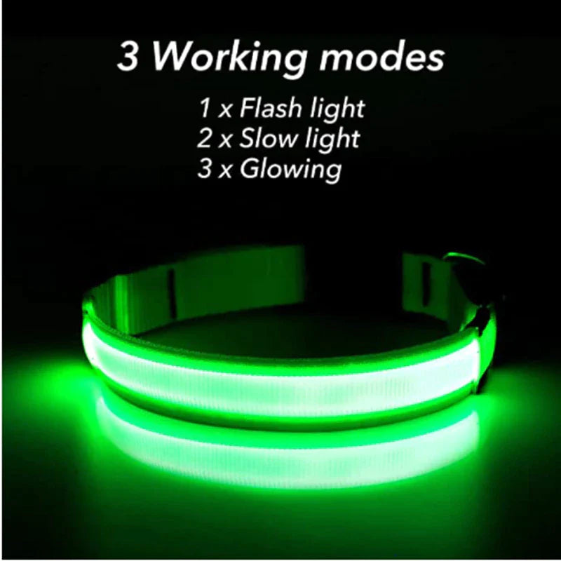 Illuminate Your Dog's Safety with Our LED Adjustable Light-Up Collar - Waterproof and Stylish