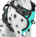 No Pull Reflective Dog Harness - Comfortable Adjustable Vest with Dual Leash Attachments & Control Handle for Small to Large Dogs (Mint Blue, Medium)