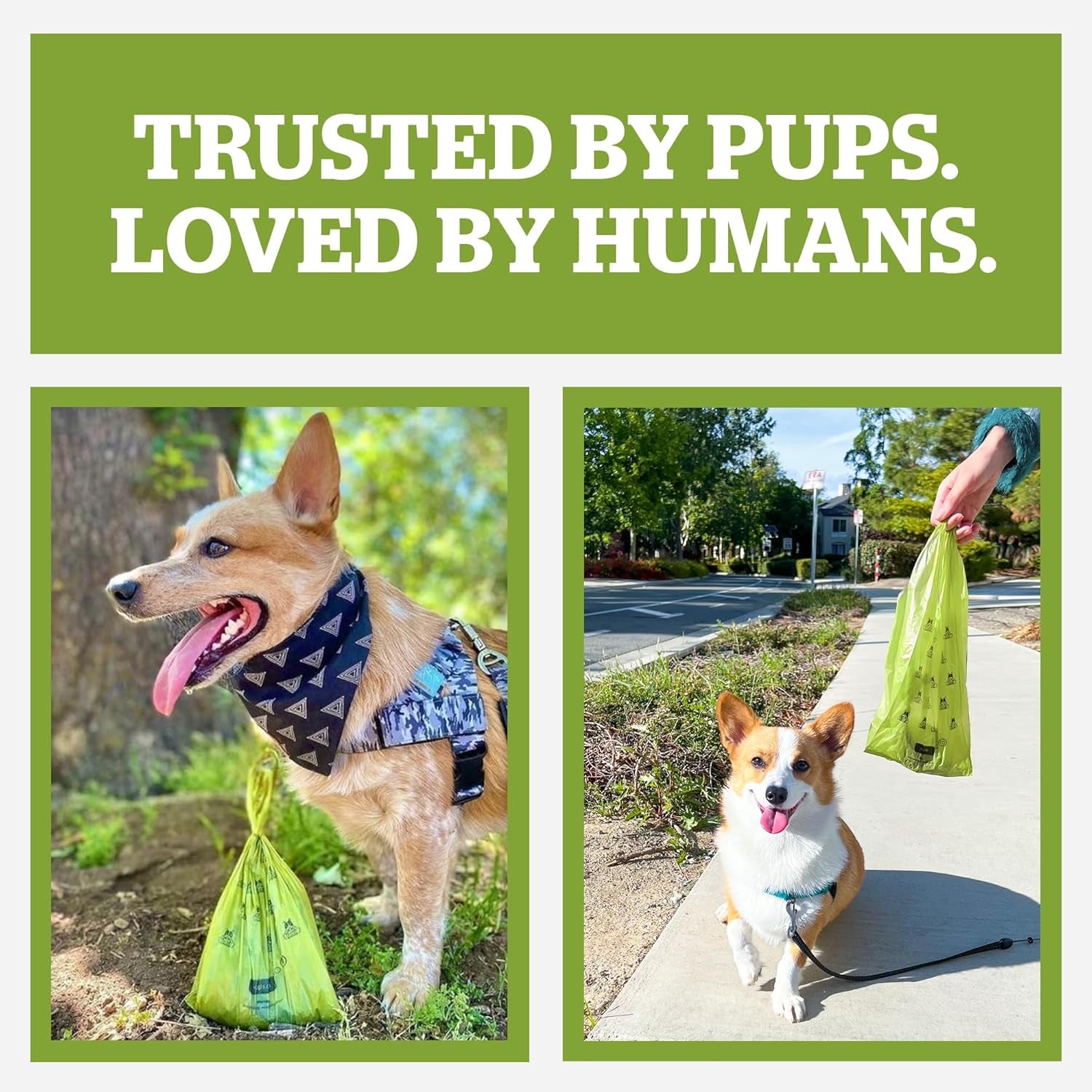 Pogi's Extra Thick Leak-Proof Dog Poop Bags - Fresh Scent, 150 Count (10 Rolls)