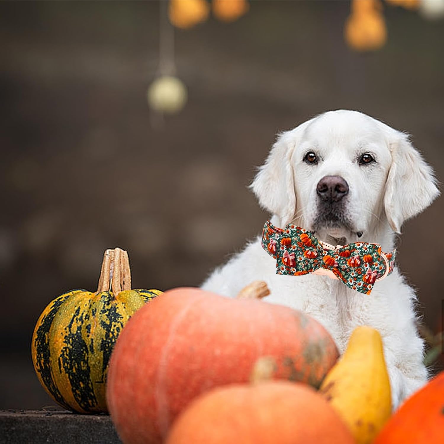 Adorable Fall Dog Collar - Halloween Pumpkin & Flower Print, Adjustable Cotton Collars for All Breeds, Perfect for Stylish Pets!