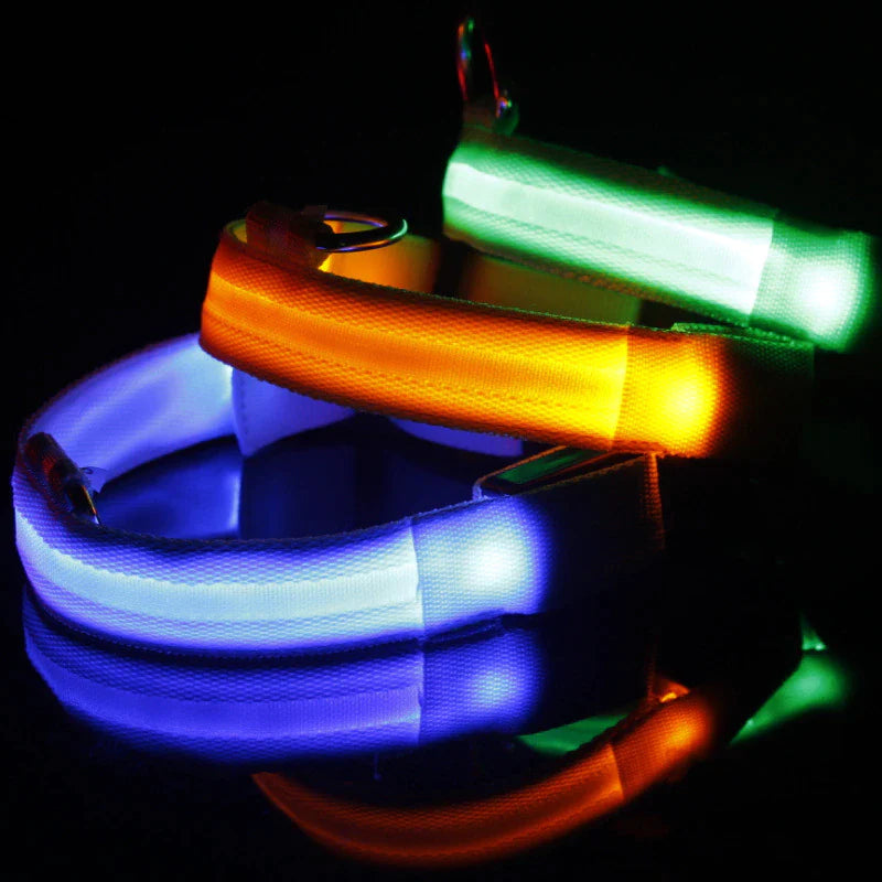 Illuminate Your Dog's Safety with Our LED Adjustable Light-Up Collar - Waterproof and Stylish