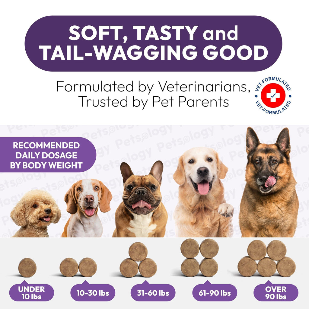 Premium Dog Multivitamin Chews with Glucosamine - 170 Delicious Hip Support Supplements