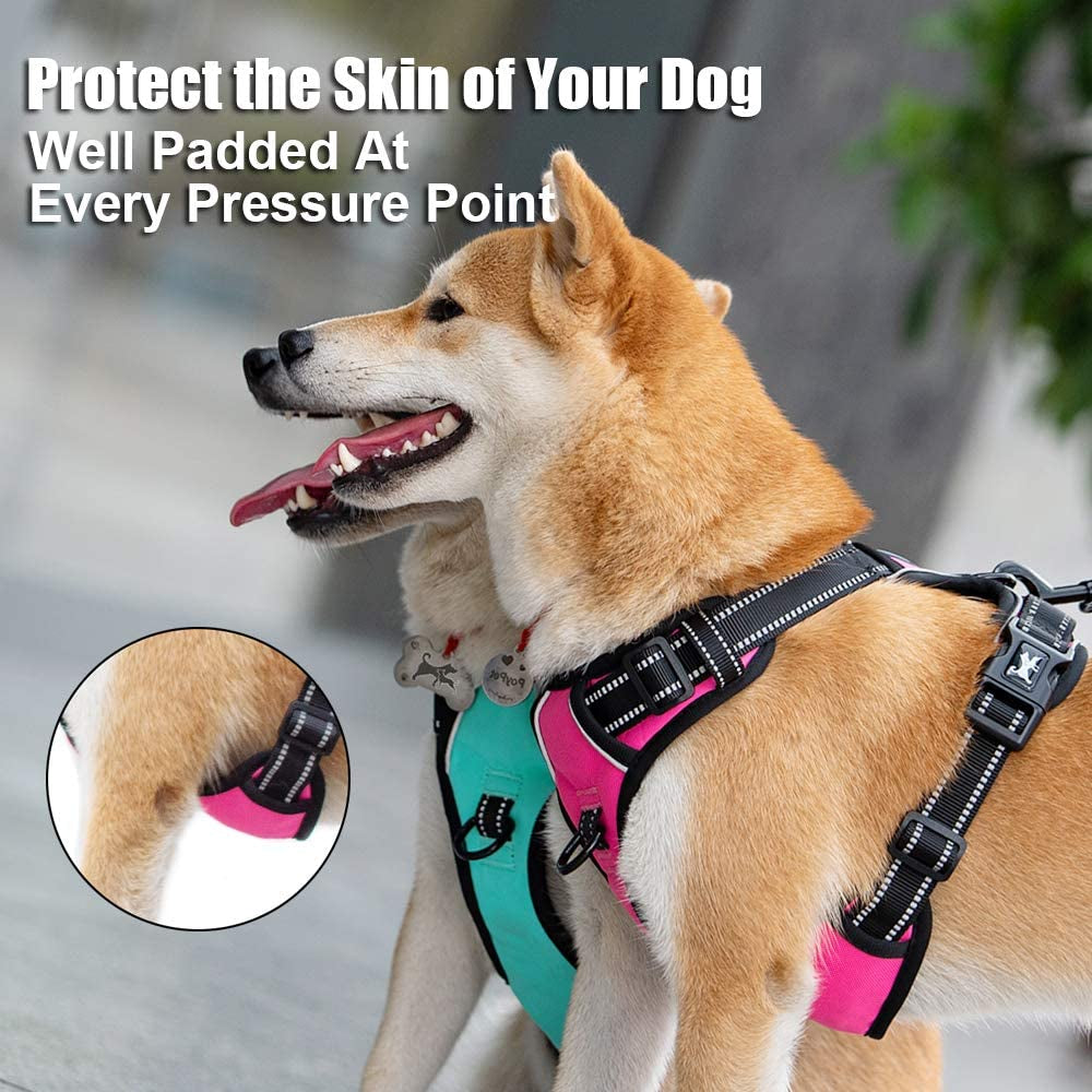 No Pull Reflective Dog Harness - Comfortable Adjustable Vest with Dual Leash Attachments & Control Handle for Small to Large Dogs (Mint Blue, Medium)