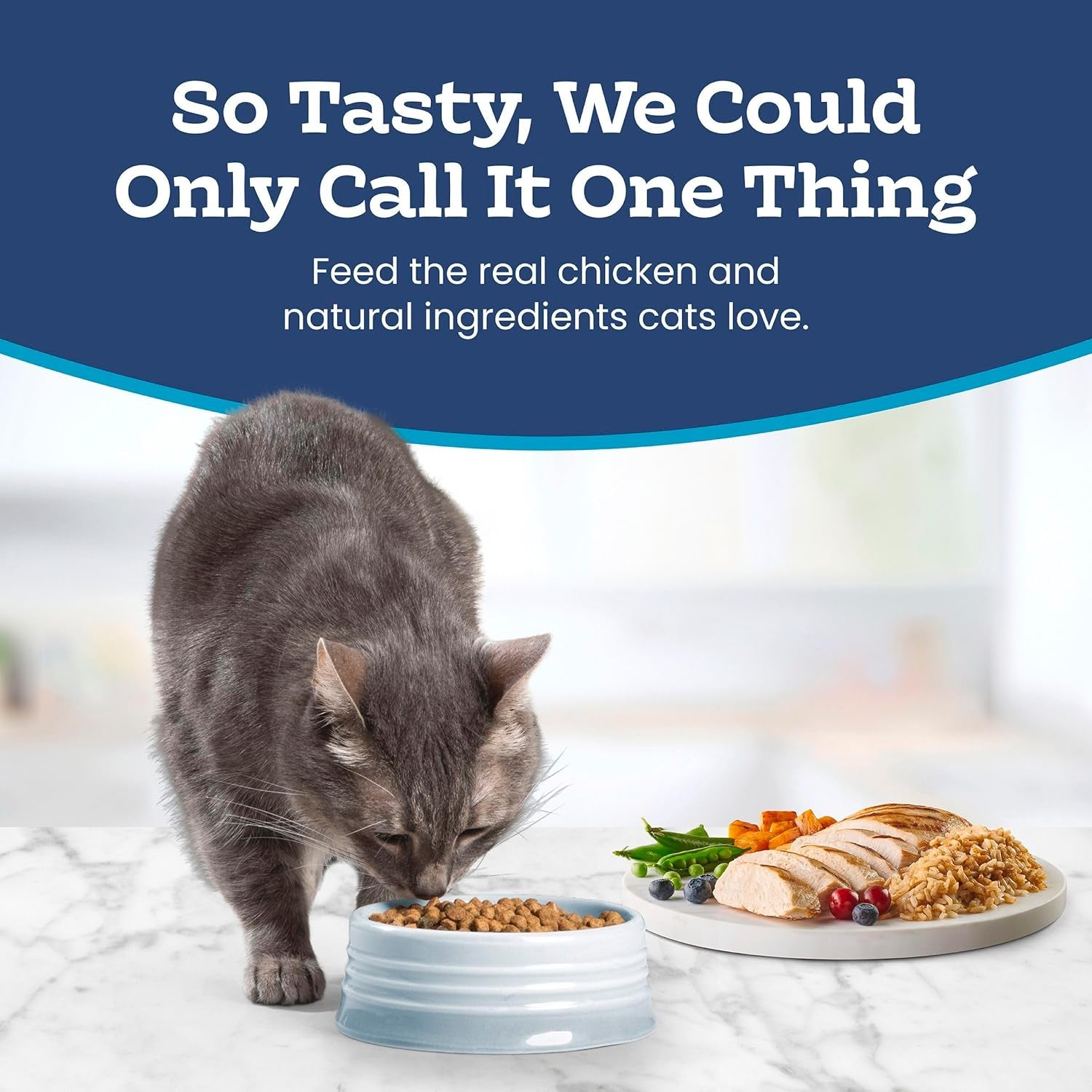 Tastefuls Natural Chicken & Brown Rice Dry Cat Food for Sensitive Stomachs - 15-Lb Bag
