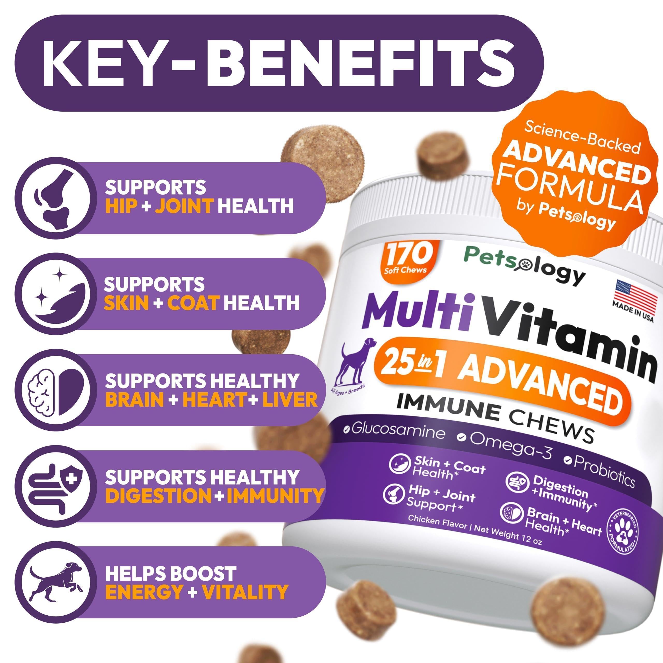 Premium Dog Multivitamin Chews with Glucosamine - 170 Delicious Hip Support Supplements