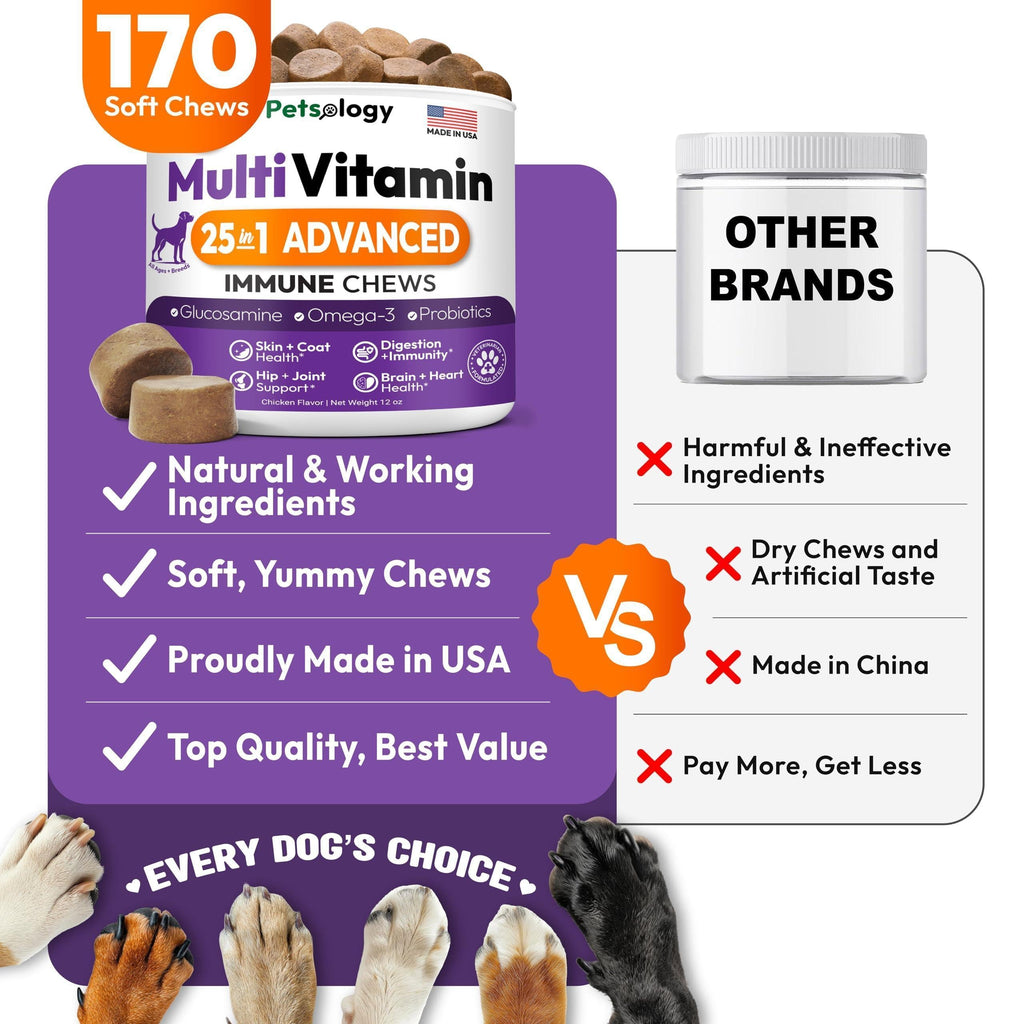Premium Dog Multivitamin Chews with Glucosamine - 170 Delicious Hip Support Supplements