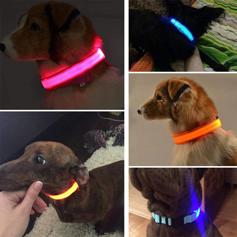 Illuminate Your Dog's Safety with Our LED Adjustable Light-Up Collar - Waterproof and Stylish