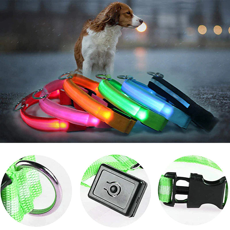 Illuminate Your Dog's Safety with Our LED Adjustable Light-Up Collar - Waterproof and Stylish