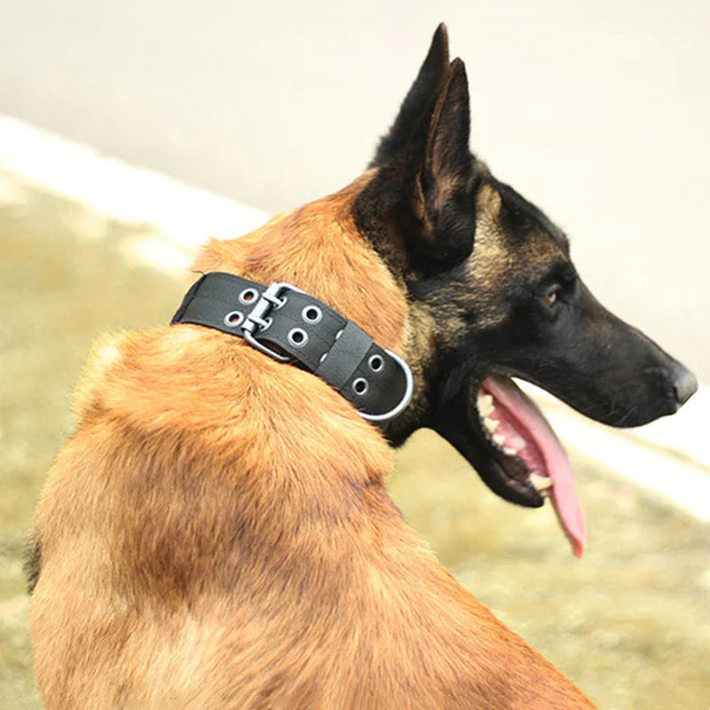 2" Wide Tactical Heavy Duty Nylon Large Dog Collar - K9 Military Style with Secure Metal Buckle for Ultimate Strength and Comfort