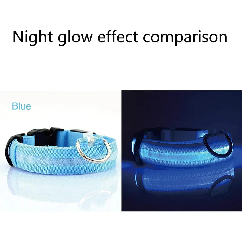 Illuminate Your Dog's Safety with Our LED Adjustable Light-Up Collar - Waterproof and Stylish