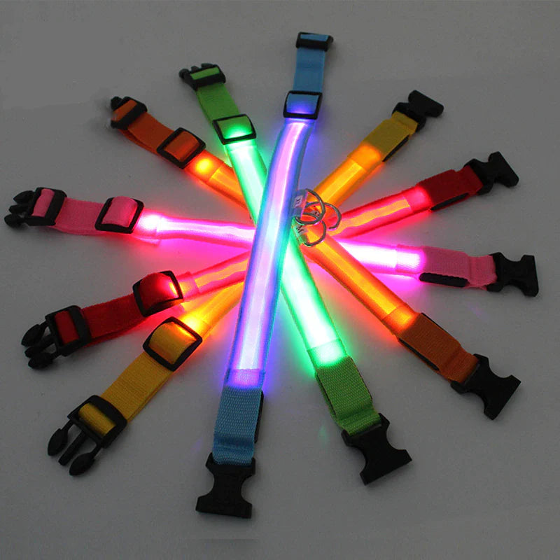 Illuminate Your Dog's Safety with Our LED Adjustable Light-Up Collar - Waterproof and Stylish