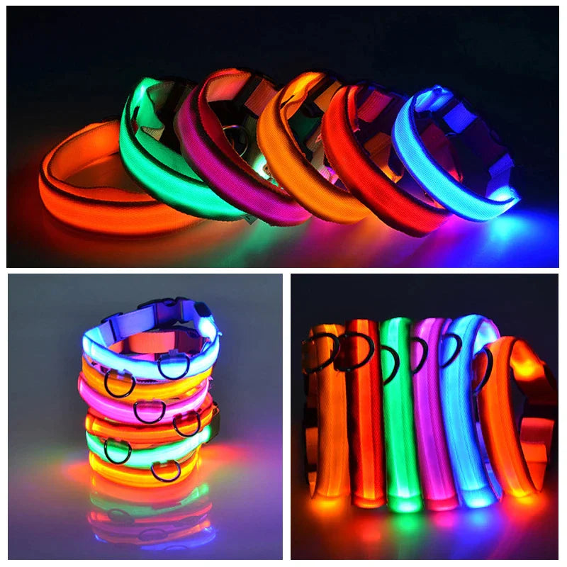 Illuminate Your Dog's Safety with Our LED Adjustable Light-Up Collar - Waterproof and Stylish