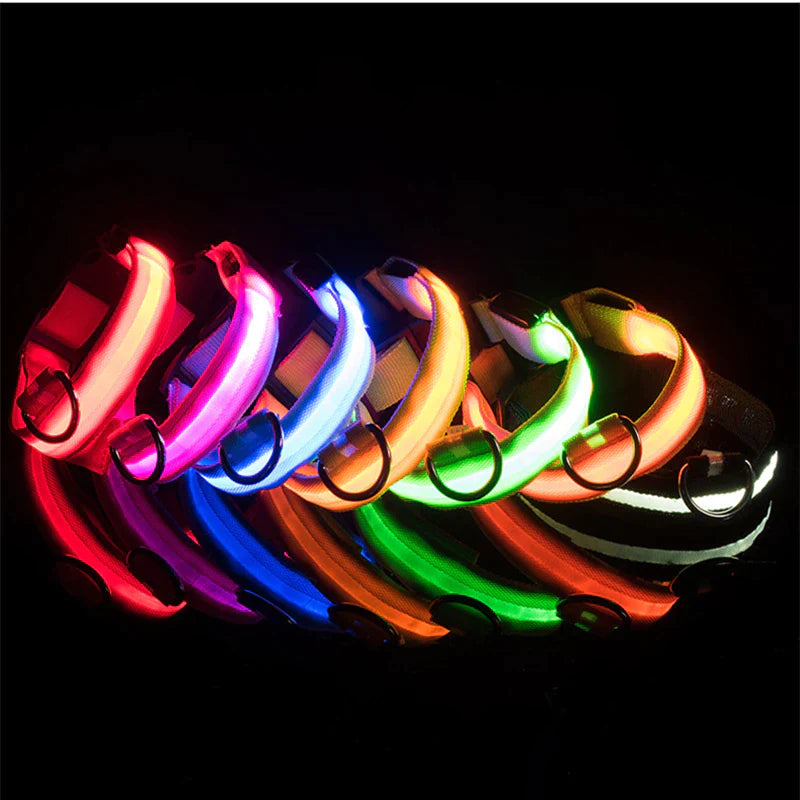 Illuminate Your Dog's Safety with Our LED Adjustable Light-Up Collar - Waterproof and Stylish