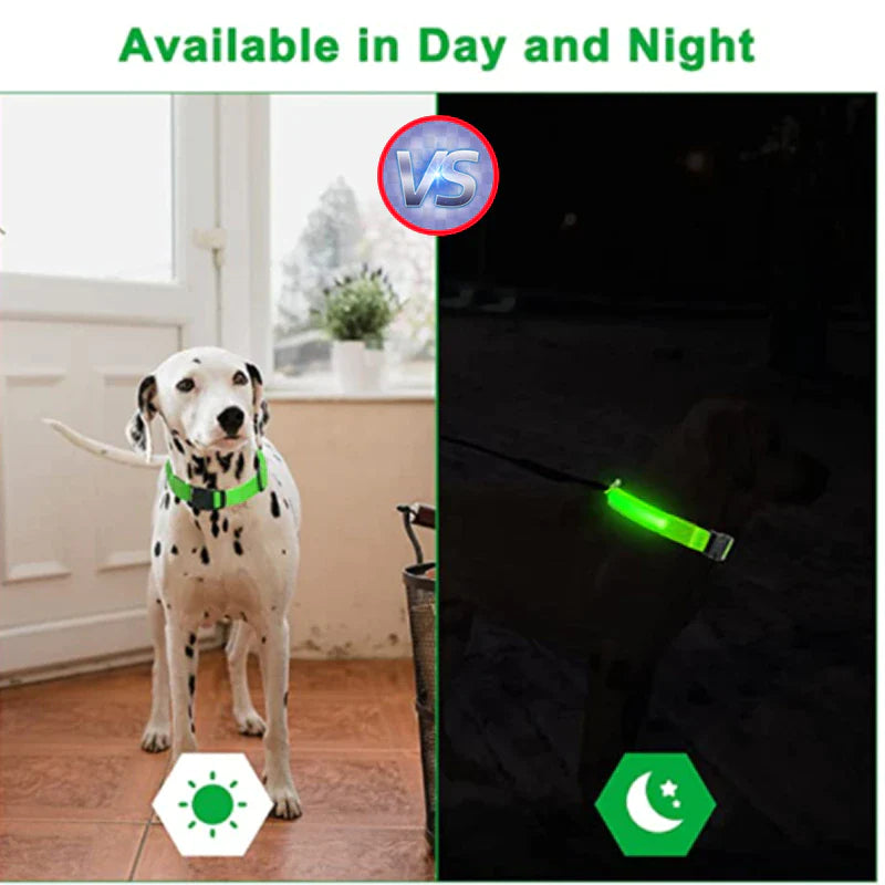 Illuminate Your Dog's Safety with Our LED Adjustable Light-Up Collar - Waterproof and Stylish