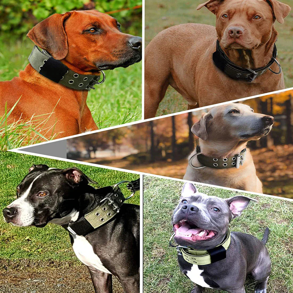 2" Wide Tactical Heavy Duty Nylon Large Dog Collar - K9 Military Style with Secure Metal Buckle for Ultimate Strength and Comfort