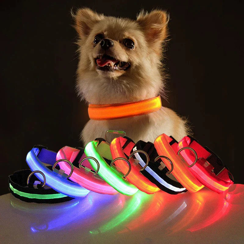 Illuminate Your Dog's Safety with Our LED Adjustable Light-Up Collar - Waterproof and Stylish
